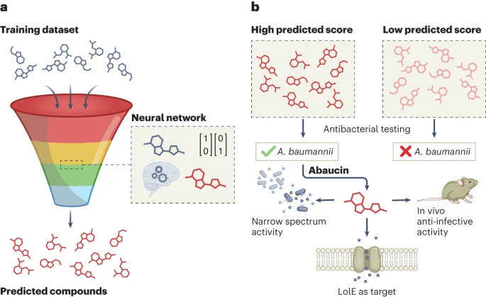 Diagram of AI-driven antibiotic discovery